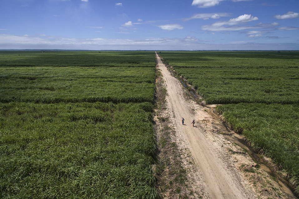 LAND-at-scale Chad- Land reform based on rapid evolution and present crisis