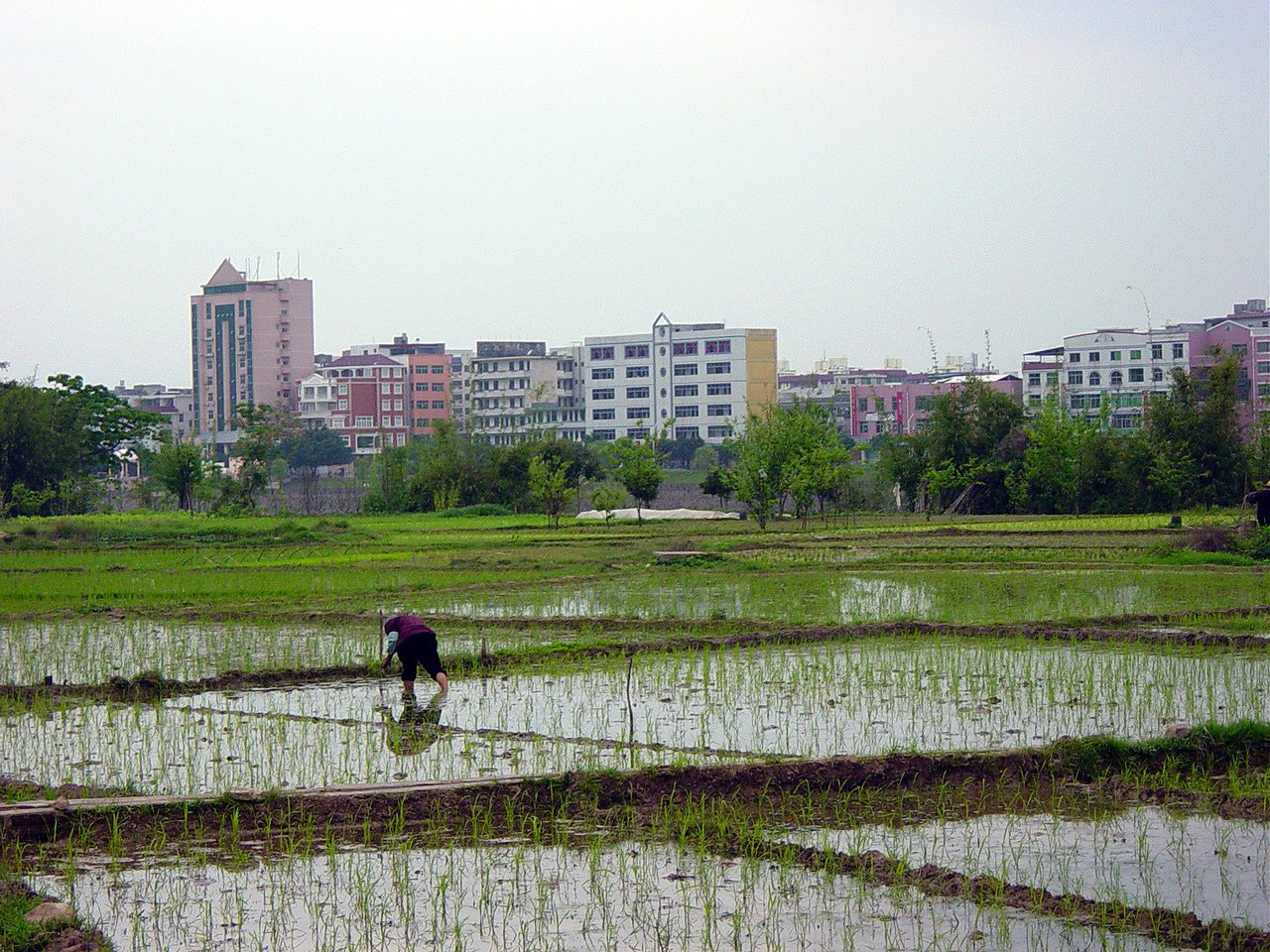 Bridging the Gap on Land Governance and Tenure along the Urban-Rural Continuum