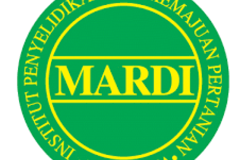 mardi logo