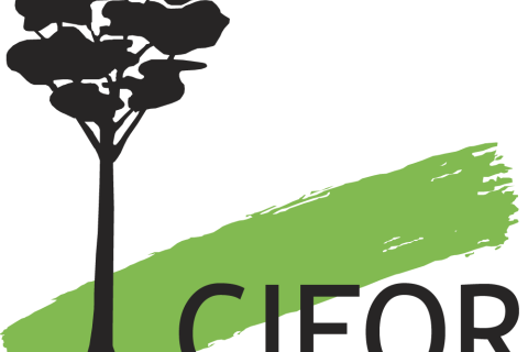 Center for International Forestry Research (CIFOR)