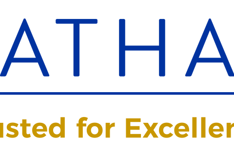 Nathan logo