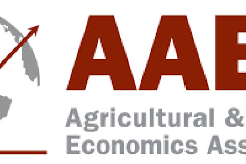 AAEA logo