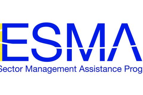 Energy Sector Management Assistance Program logo