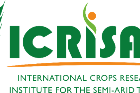 International Crops Research Institute for the Semi-Arid Tropics logo