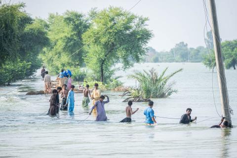 Photo by Kafeel Ahmed on Pexels.com