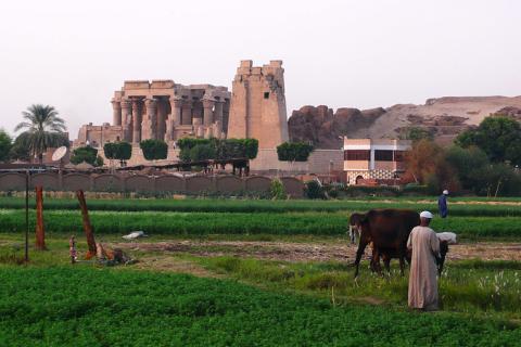 Agriculture Valley in Egypt Desert Oasis photo by Darla دارلا Hueske,license CC BY-NC-ND 2.0 DEED.jpg