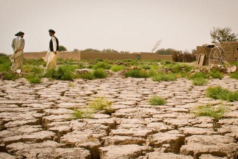 Lutte contre la désertification en Haiti