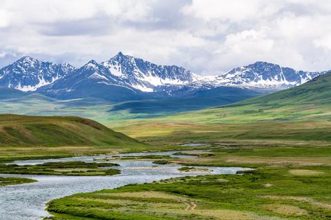 Deosai, Gilgit Baltistan, Pakistan, photo by Qammer Wazir, Wikimedia Commons license