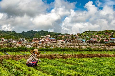 Farm Worker Luzon. Photo by Wayne S. Grazio, 2015. CC BY-NC-ND 2.0 license