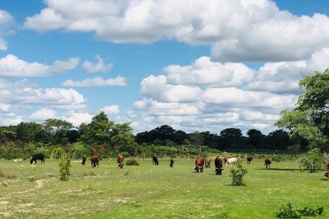 Zimbabwe - photo by Ian Scoones