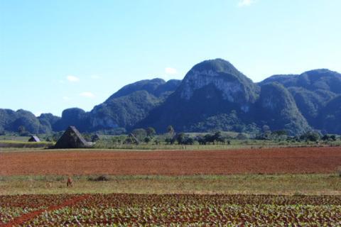 Tobacco Farm El Palmarito Vinales Cuba photo by Annie Mole Flickr Attribution CC BY 2022.jpg