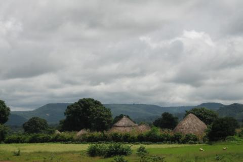 Land governance country profile for Guinea