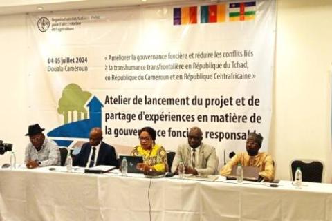 Photo d’ouverture de l’atelier le 4 juillet 2024| FAO