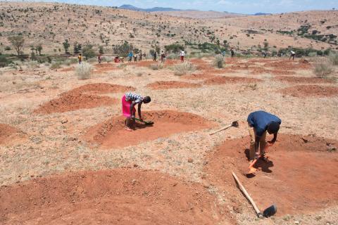 Dans le cadre de l’Initiative pour la restauration, les populations vivant près du mont Kenya creusent des demi-cercles pour capter l’eau de pluie, stopper l’érosion du sol et éviter la désertification. Grâce à cette méthode, plus de 152 000 hectares de t