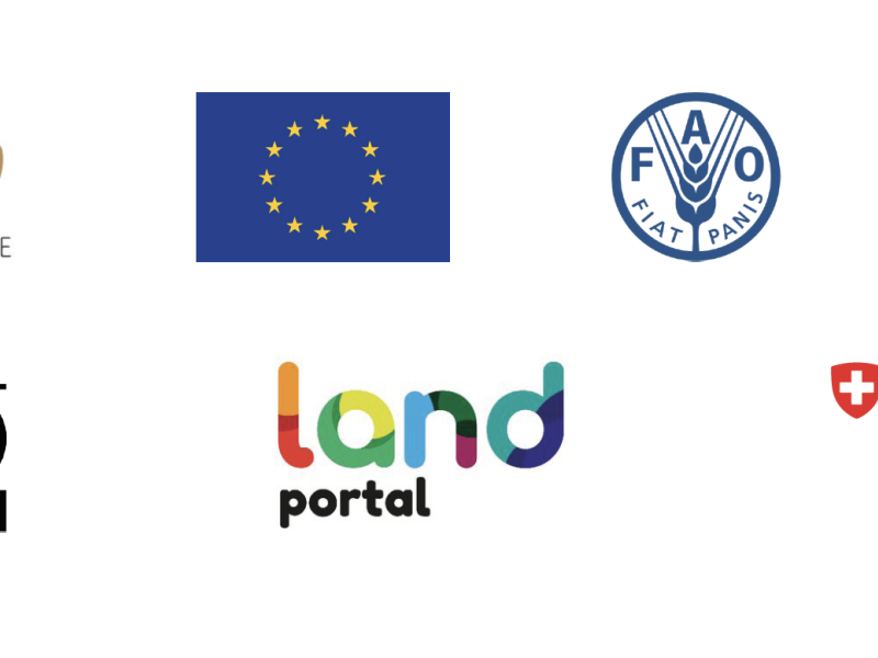 9th Capitalization Meeting of the EU Land Governance Programme - Day 3 - WEBINAR ON COVID-19 AND TENURE SECURITY