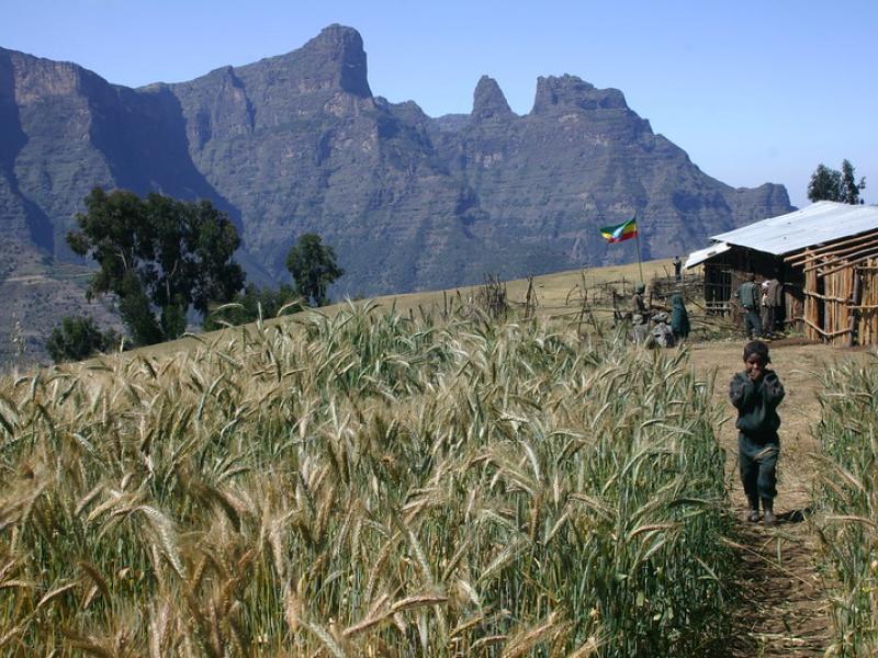 Data story banner, Simien Mountains National Park, Ethiopia, by Leonard A. Floyd