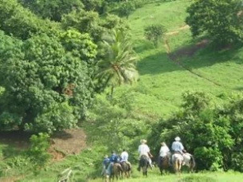 La conservación de los bosques de Costa Rica genera beneficios