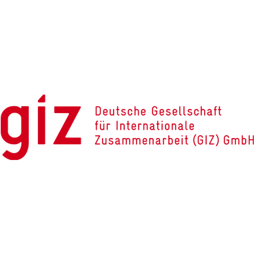 GIZ logo