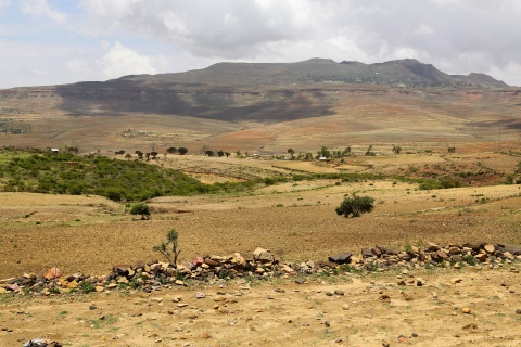 Land Governance in Ethiopia in the Time of COVID-19 