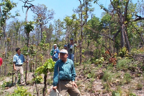 Community Forestry