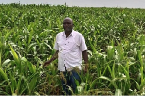 Commonalities between Ethiopian smallholder farmers and agricultural investors