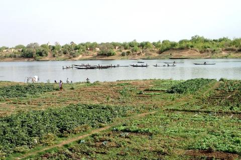 Podor-Dodel-et-Demette-une-concession-rizicole-marocaine-le-groupe-marocain-Sefrioui.jpg