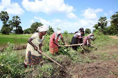 Women working in a field  Women at work in Sri Lanka. Photo: Lakshman Nadaraja/World Bank