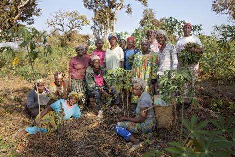 Cameroon - UN Women's Gender Road Project