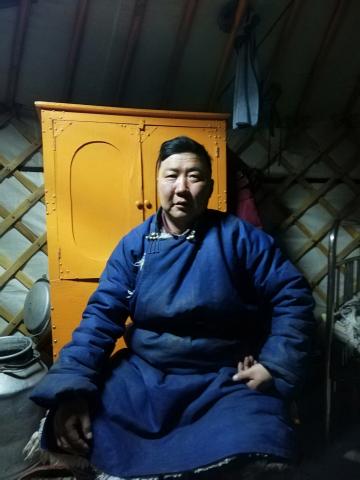 Mongolia needs fewer cows for better pastureland