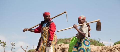  Women’s legal rights and gender gaps in property ownership in developing countries