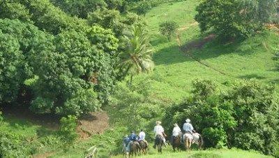 La conservación de los bosques de Costa Rica genera beneficios