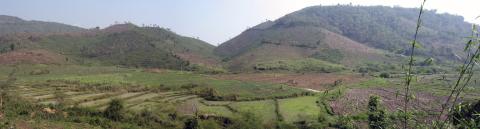 Figure 8: Clearing jungle for more profitable rubber trees - Muang Sing, Lao PDR (by Houston Marsh)