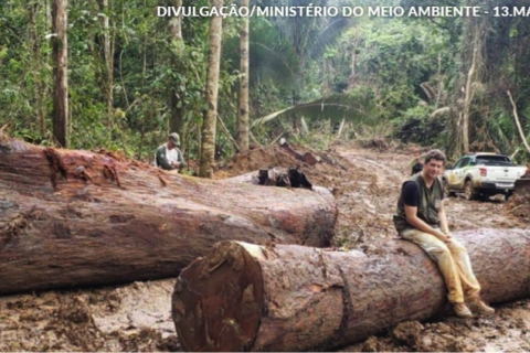 Fonte: Ministerio do Meio Ambiente