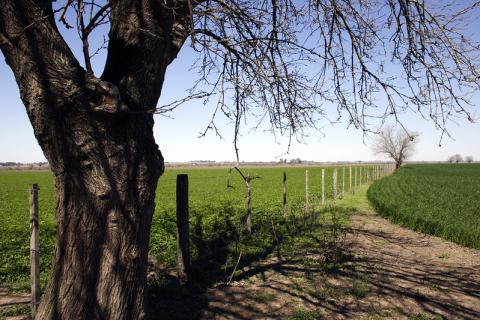 Sesiones extraordinarias sin Ley de Acceso a la Tierra para los pequeños productores