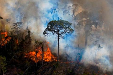 Foto: Carl de Souza/AFP/Getty Images