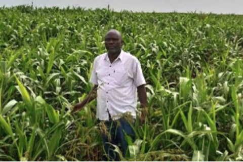 Commonalities between Ethiopian smallholder farmers and agricultural investors