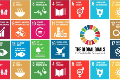 United Nations Sustainable Development Goals (SDGs)