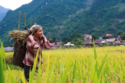 RESPONSIBLE LAND  INVESTMENT FOR  SUSTAINABLE FOOD  SYSTEMS: Taking stock of lessons from responsible land investment pilots, partnerships and platforms