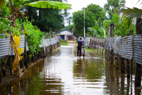 Turning the Tide on Sri Lankan Corruption