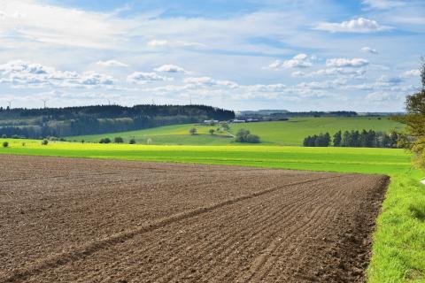 accaparement-des-terres-agricoles.jpg