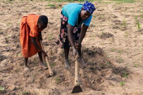 Land tenure insecurity in Zimbabwe