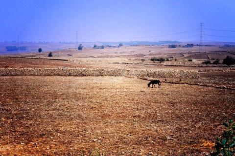 moroccolndscape.jpg