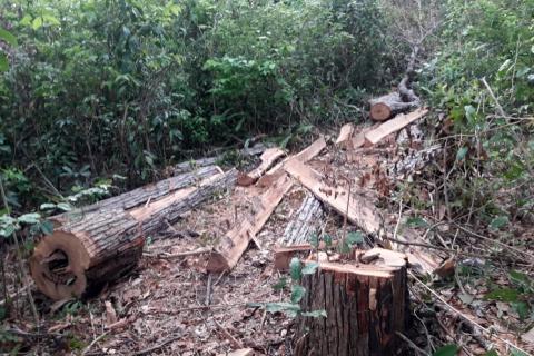  Foto: Guardiões da Floresta Guajajara