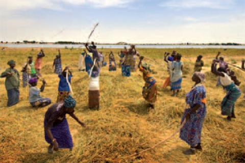 Femmes sénégalaises.jpg