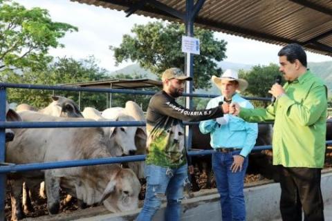 El jefe de estado sostuvo que "se consolida la producción del campo venezolano, que satisfaga las necesidades nacionales y la exportación, que generará riquezas para el país". | Foto: @NicolasMaduro