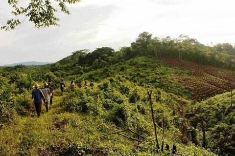 CC: Aprueban comisión para restituir tierras y anular concesiones mineras en territorios indígenas