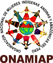 logo onamiap