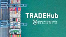 Trade, Development and the Environment Hub