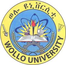 Wollo University logo