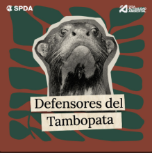 defensores tambopata